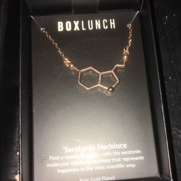 Jewelry - 🔮✨Box Lunch Seratonin Necklace✨🔮